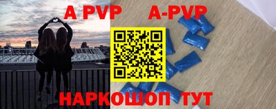 гашик Моздок