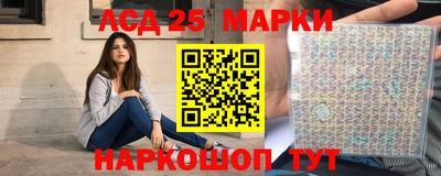гашик Моздок