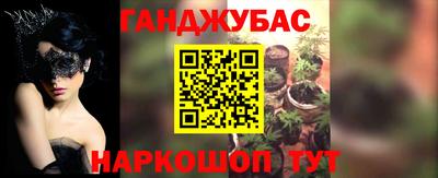 гашик Моздок